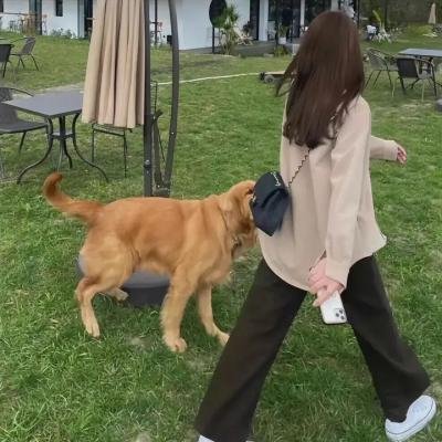 未请自来