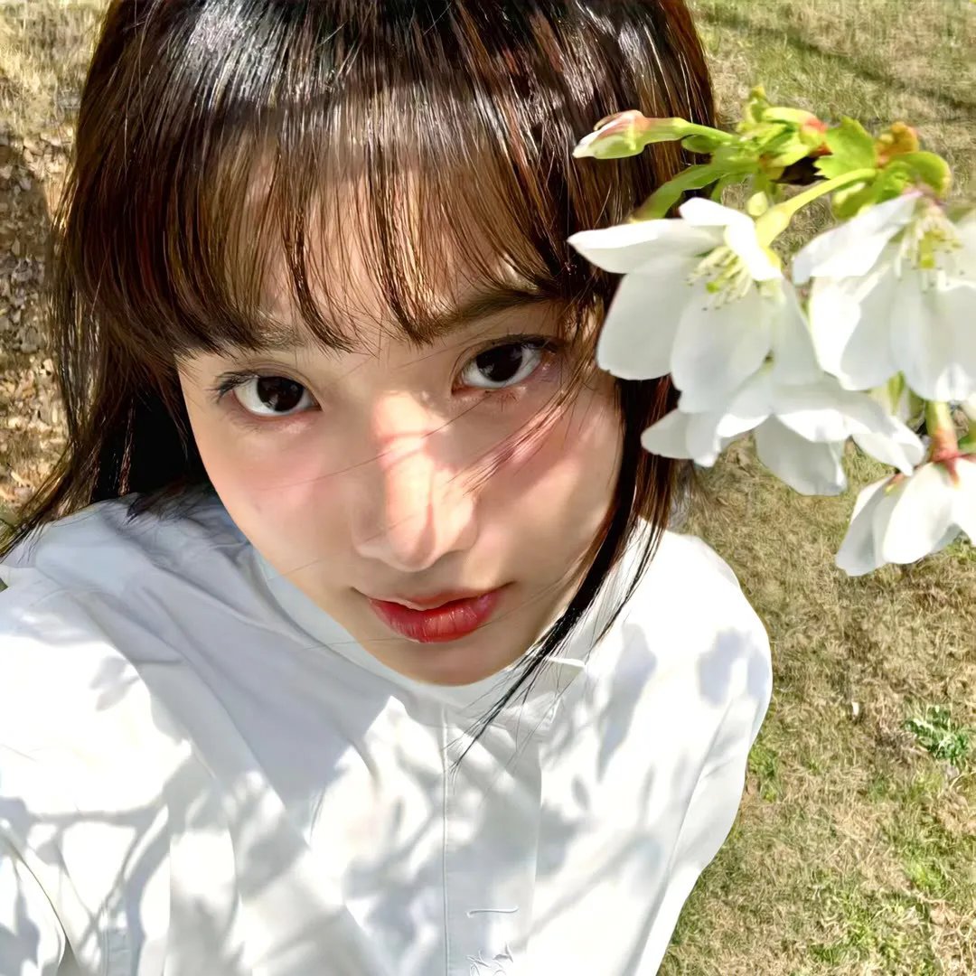 犬夜叉:红莲之蓬莱岛